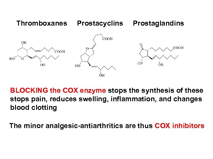 Thromboxanes Prostacyclins Prostaglandins BLOCKING the COX enzyme stops the synthesis of these stops pain,