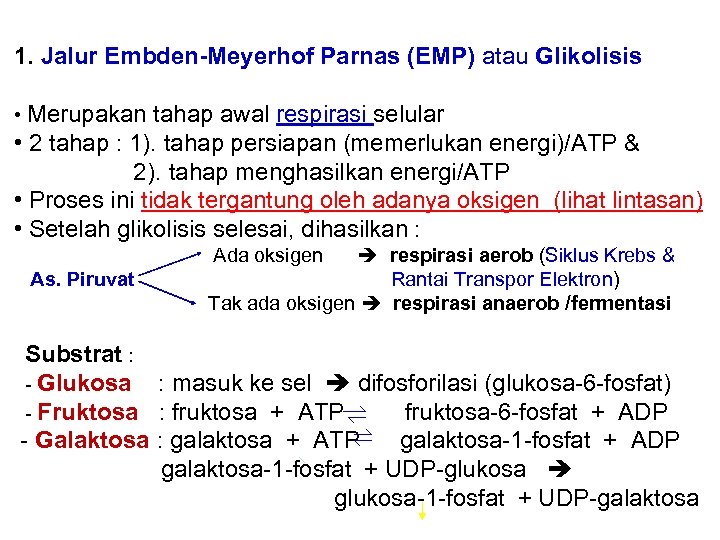 1. Jalur Embden-Meyerhof Parnas (EMP) atau Glikolisis • Merupakan tahap awal respirasi selular •