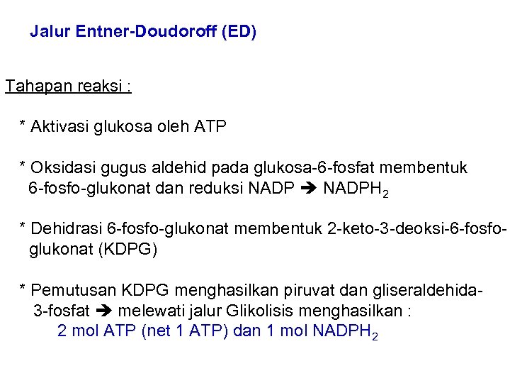 Jalur Entner-Doudoroff (ED) Tahapan reaksi : * Aktivasi glukosa oleh ATP * Oksidasi gugus