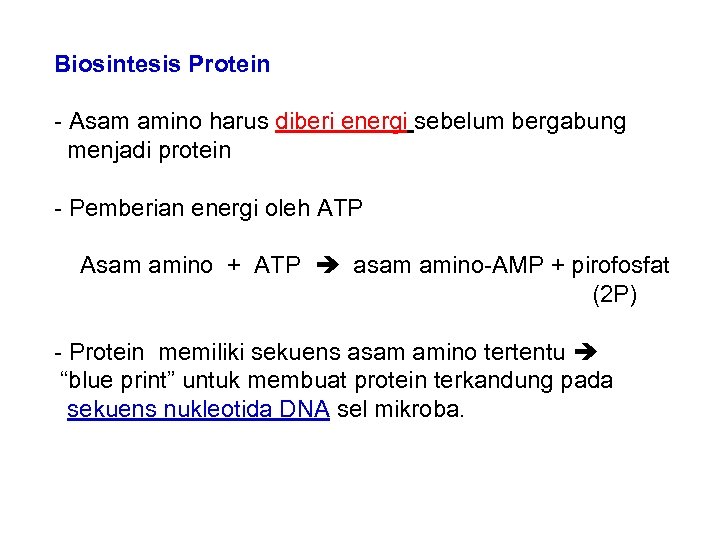 Biosintesis Protein - Asam amino harus diberi energi sebelum bergabung menjadi protein - Pemberian