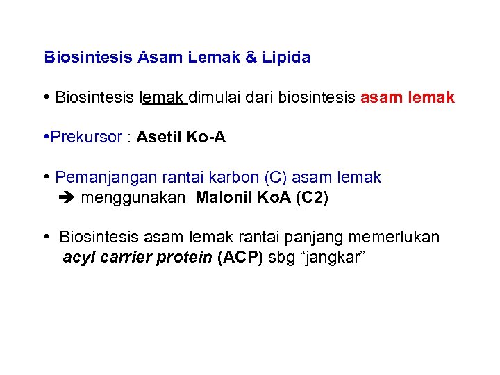 Biosintesis Asam Lemak & Lipida • Biosintesis lemak dimulai dari biosintesis asam lemak •