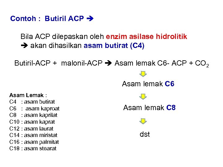 Contoh : Butiril ACP Bila ACP dilepaskan oleh enzim asilase hidrolitik akan dihasilkan asam