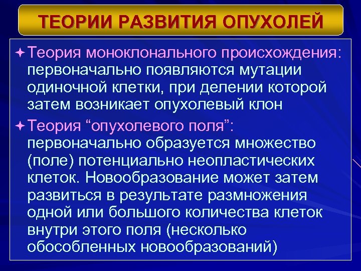 ТЕОРИИ РАЗВИТИЯ ОПУХОЛЕЙ ª Теория моноклонального происхождения: первоначально появляются мутации одиночной клетки, при делении