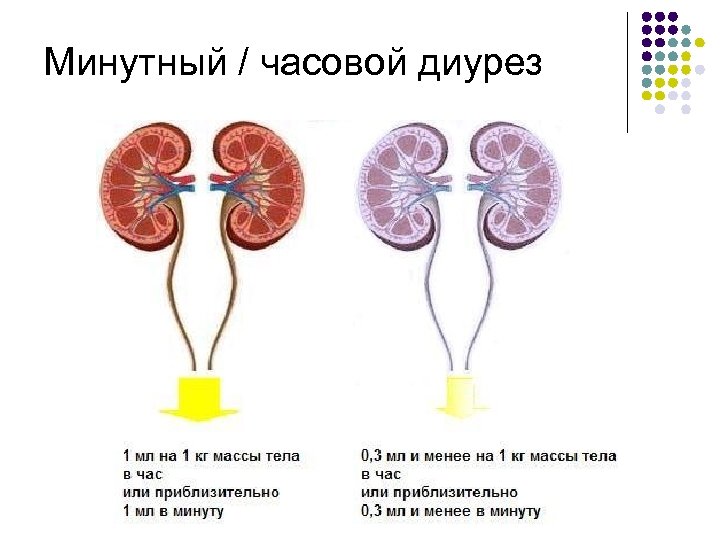 Минутный / часовой диурез 