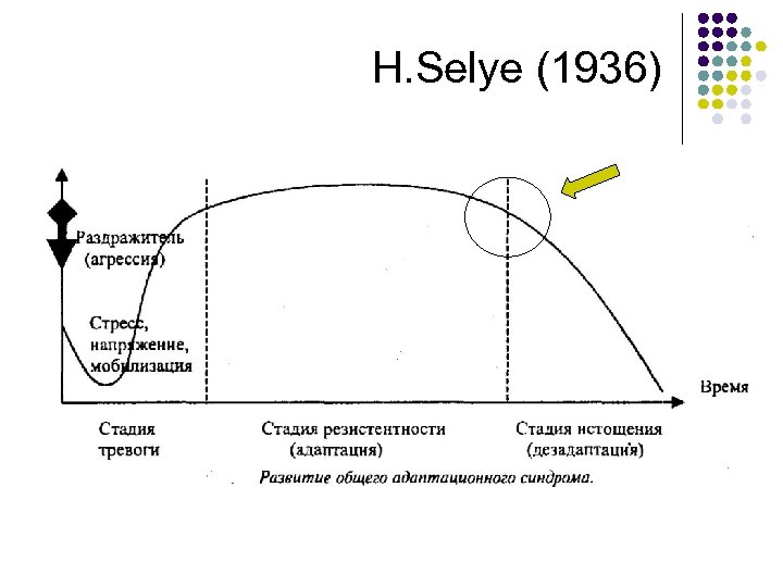 H. Selye (1936) 