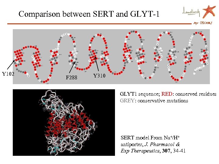 Comparison between SERT and GLYT-1 Apr 05/AMJ Y 102 F 288 Y 310 GLYT