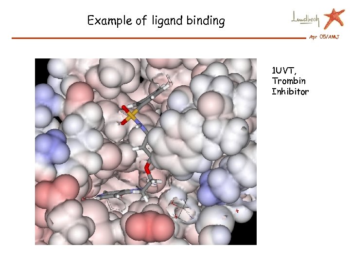 Example of ligand binding Apr 05/AMJ 1 UVT, Trombin Inhibitor 