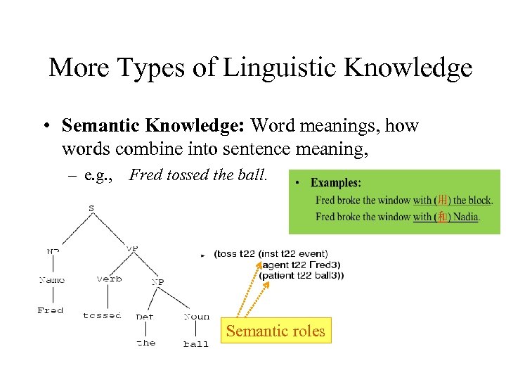 More Types of Linguistic Knowledge • Semantic Knowledge: Word meanings, how words combine into