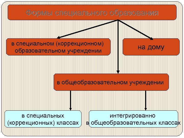 Нормативно правовое обеспечение детей с овз. Система специальных коррекционных учреждений. Виды коррекционных образовательных учреждений. Типы специальных коррекционных образовательных учреждений. Формы специального образования.