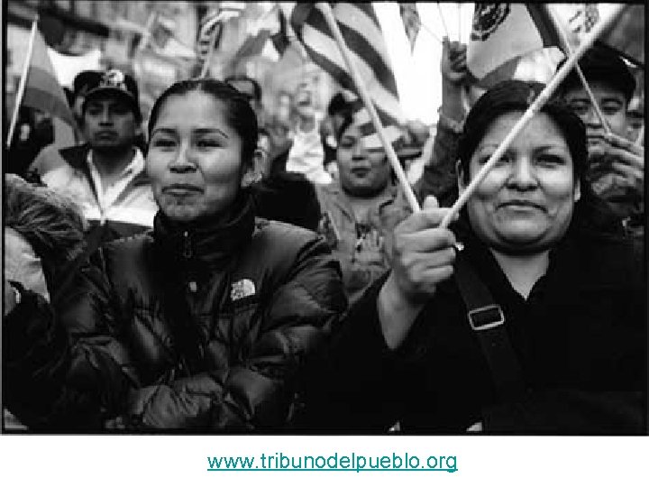 www. tribunodelpueblo. org 