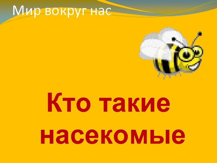 Мир вокруг нас Кто такие насекомые 