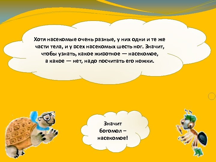 Хотя насекомые очень разные, у них одни и те же части тела, и у