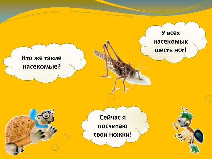 У всех насекомых шесть ног! Кто же такие насекомые? Сейчас я посчитаю свои ножки!