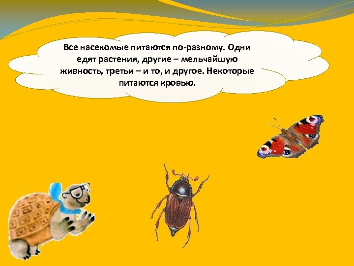 Все насекомые питаются по-разному. Одни едят растения, другие – мельчайшую живность, третьи – и