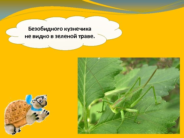 Безобидного кузнечика не видно в зеленой траве. 