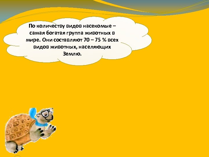 По количеству видов насекомые – самая богатая группа животных в мире. Они составляют 70