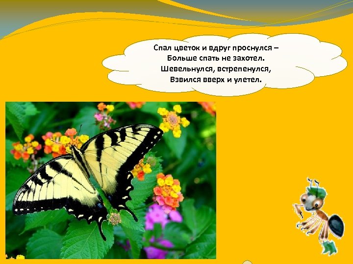 Спал цветок и вдруг проснулся – Больше спать не захотел. Шевельнулся, встрепенулся, Взвился вверх
