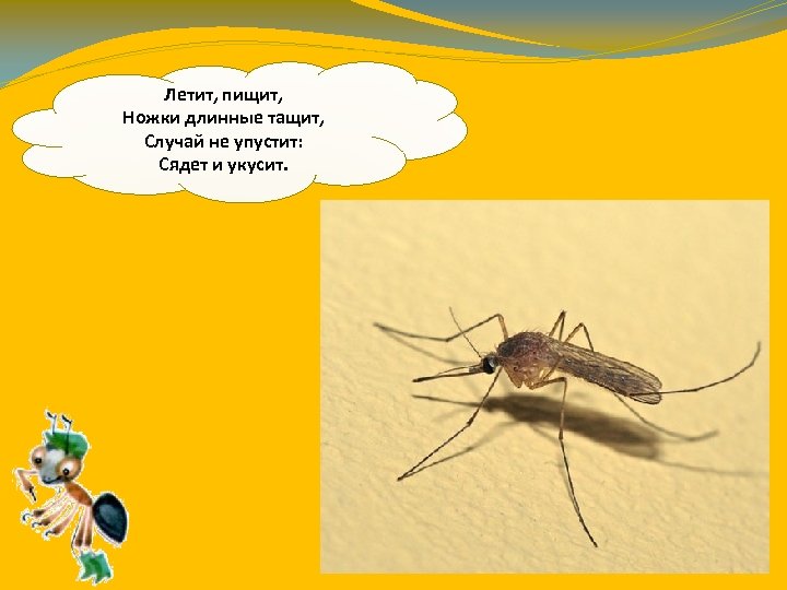 Летит, пищит, Ножки длинные тащит, Случай не упустит: Сядет и укусит. 