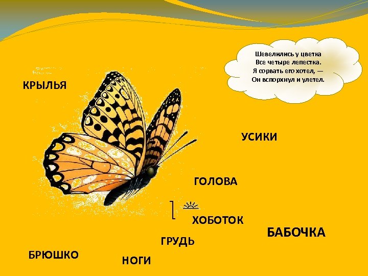 Шевелились у цветка Все четыре лепестка. Я сорвать его хотел, — Он вспорхнул и