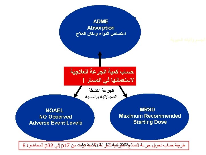  ADME Absorption ﺍﻣﺘﺼﺎﺹ ﺍﻟﺪﻭﺍﺀ ﻭﻣﻜﺎﻥ ﺍﻟﻌﻼﺝ ﺍﻟﺠﺴﻢ ﻭآﻠﻴﺘﻪ ﺍﻟﺤﻴﻮﻳﺔ ﺣﺴﺎﺏ ﻛﻤﻴﺔ ﺍﻟﺠﺮﻋﺔ ﺍﻟﻌﻼﺟﻴﺔ