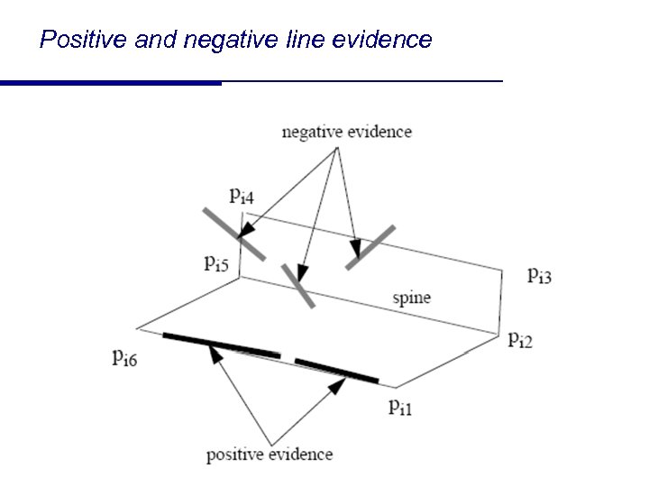 Positive and negative line evidence 62 