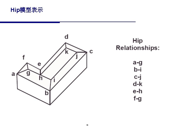 Hip模型表示 78 