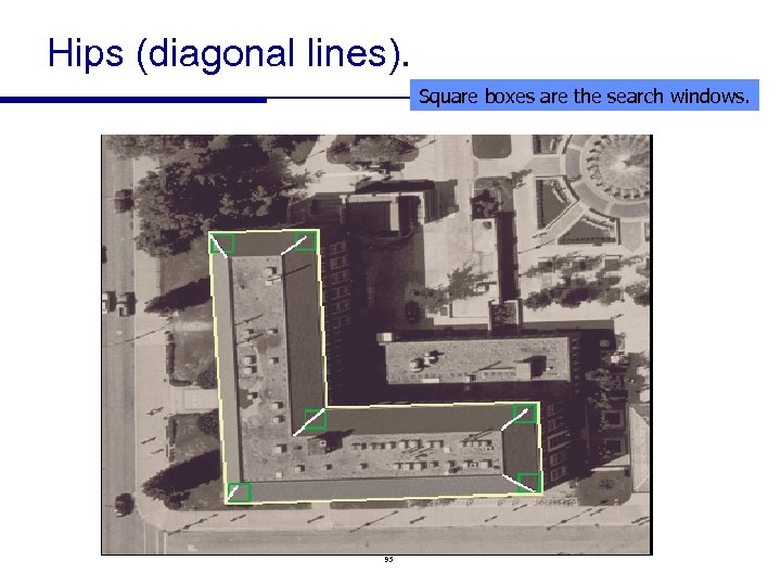 Hips (diagonal lines). Square boxes are the search windows. 95 