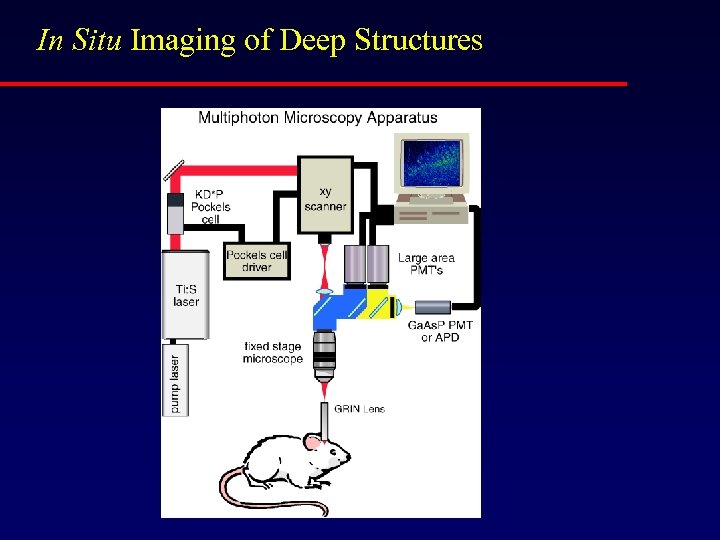 In Situ Imaging of Deep Structures 