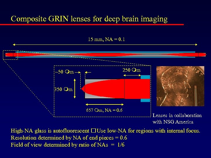 Composite GRIN lenses for deep brain imaging 15 mm, NA = 0. 1 250