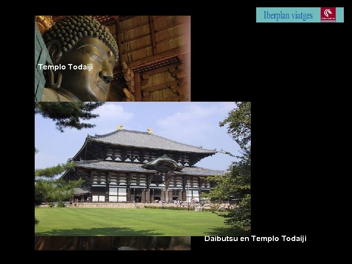 Templo Todaiji Daibutsu en Templo Todaiji 