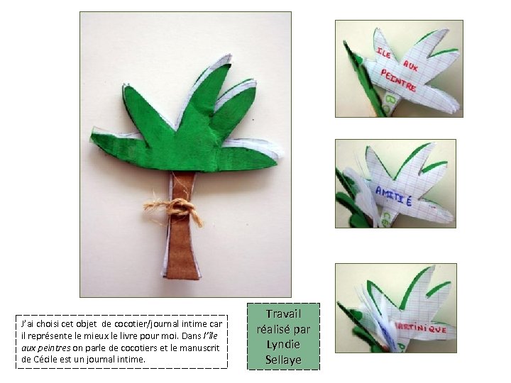 J’ai choisi cet objet de cocotier/journal intime car il représente le mieux le livre