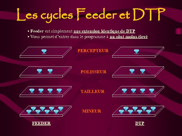 Les cycles Feeder et DTP • Feeder est simplement une extension identique de DTP