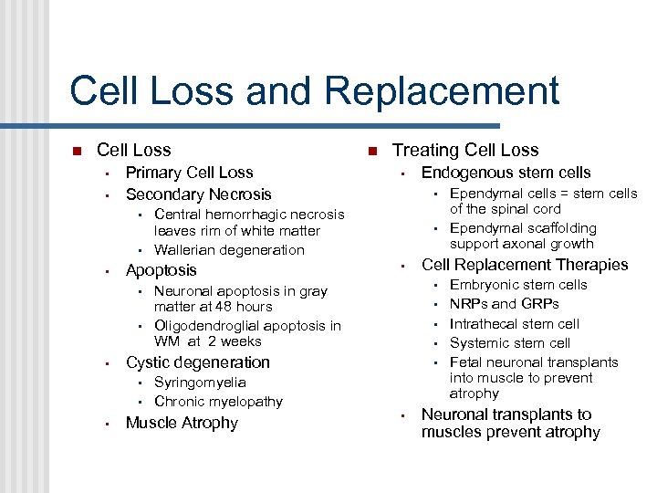 Cell Loss and Replacement Cell Loss • • Primary Cell Loss Secondary Necrosis •