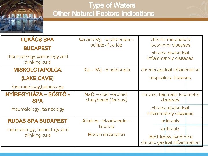 Type of Waters Other Natural Factors Indications LUKÁCS SPA BUDAPEST Ca and Mg -bicarbonate
