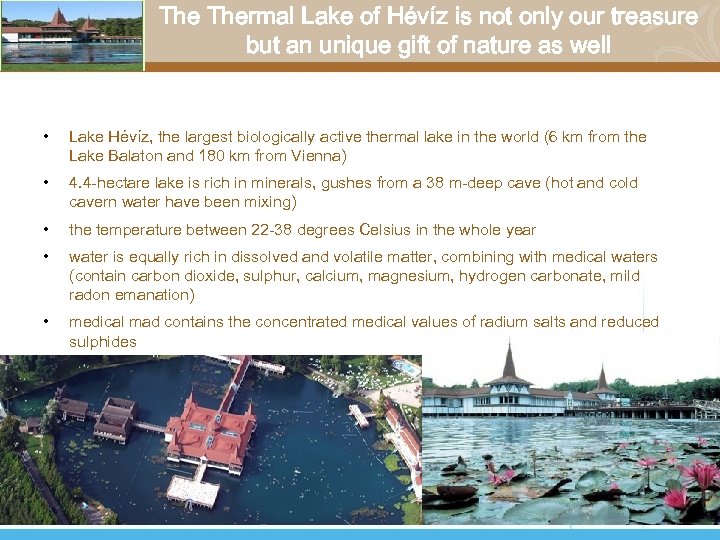 The Thermal Lake of Hévíz is not only our treasure but an unique gift