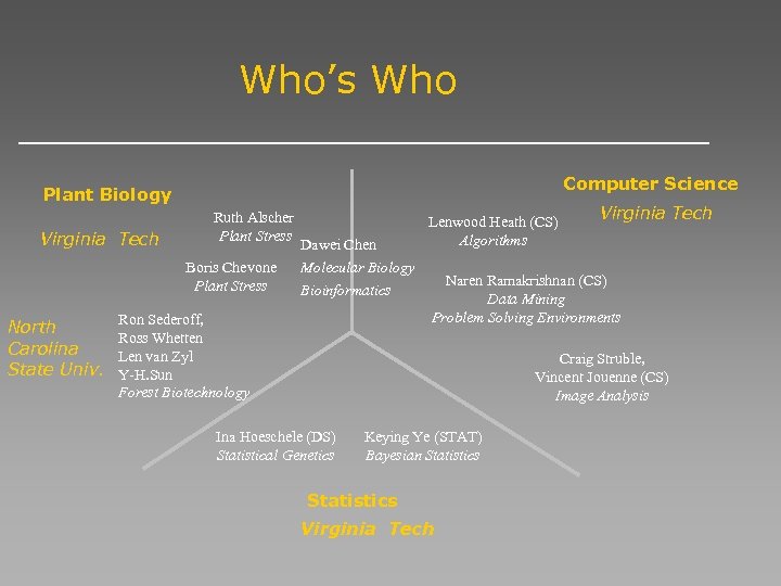 Who’s Who Computer Science Plant Biology Ruth Alscher Plant Stress Virginia Tech Boris Chevone