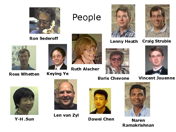 People Ron Sederoff Ross Whetten Y-H. Sun Keying Ye Lenny Heath Craig Struble Ruth