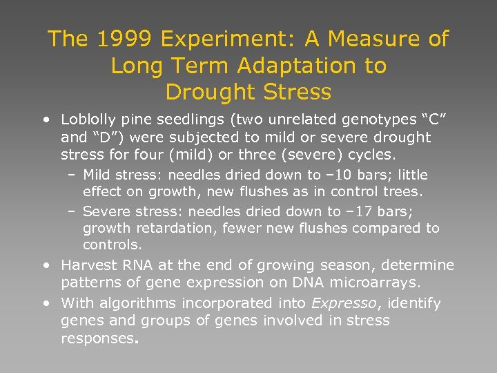 The 1999 Experiment: A Measure of Long Term Adaptation to Drought Stress • Loblolly