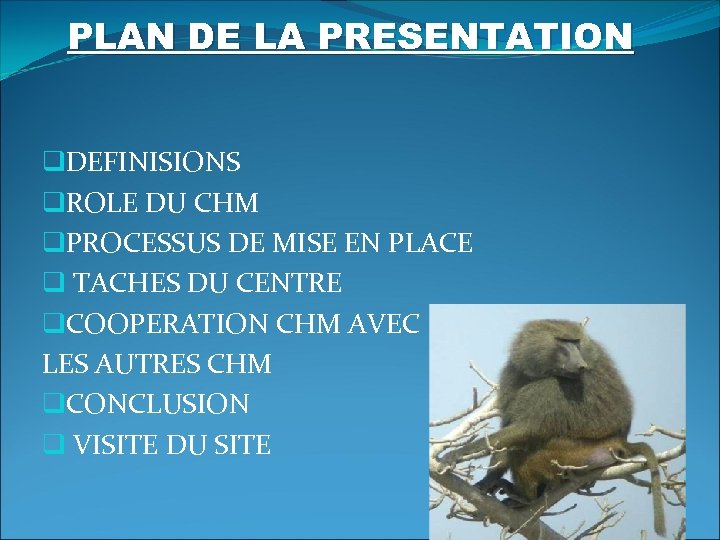 PLAN DE LA PRESENTATION q. DEFINISIONS q. ROLE DU CHM q. PROCESSUS DE MISE