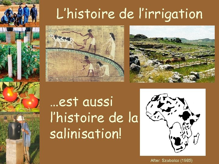 L’histoire de l’irrigation …est aussi l’histoire de la salinisation! After: Szabolcs (1985) 