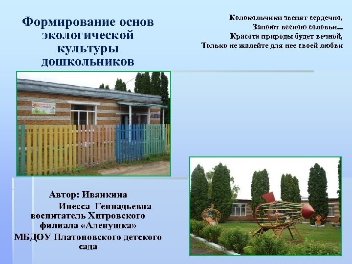 Формирование основ экологической культуры дошкольников Автор: Иванкина Инесса Геннадьевна воспитатель Хитровского филиала «Аленушка» МБДОУ