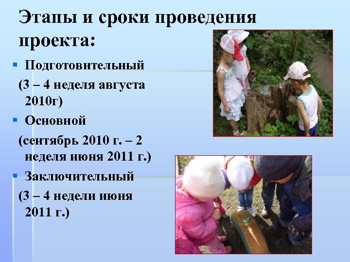 Этапы и сроки проведения проекта: § Подготовительный (3 – 4 неделя августа 2010 г)