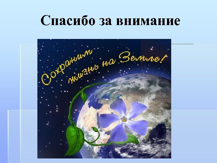 Спасибо за внимание 