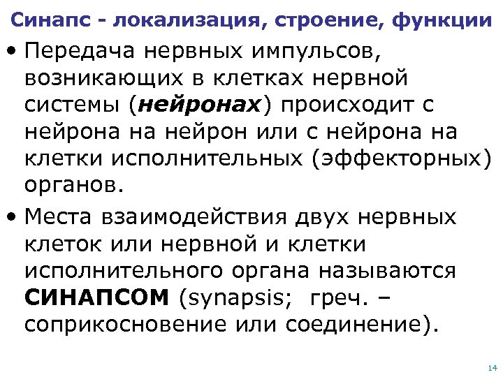 Синапс - локализация, строение, функции • Передача нервных импульсов, возникающих в клетках нервной системы
