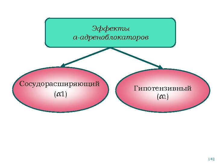 Эффекты α-адреноблокаторов Сосудорасширяющий (α 1) Гипотензивный ( α 1) 142 
