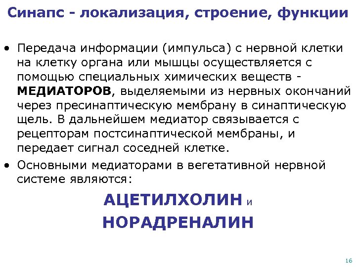 Синапс - локализация, строение, функции • Передача информации (импульса) с нервной клетки на клетку