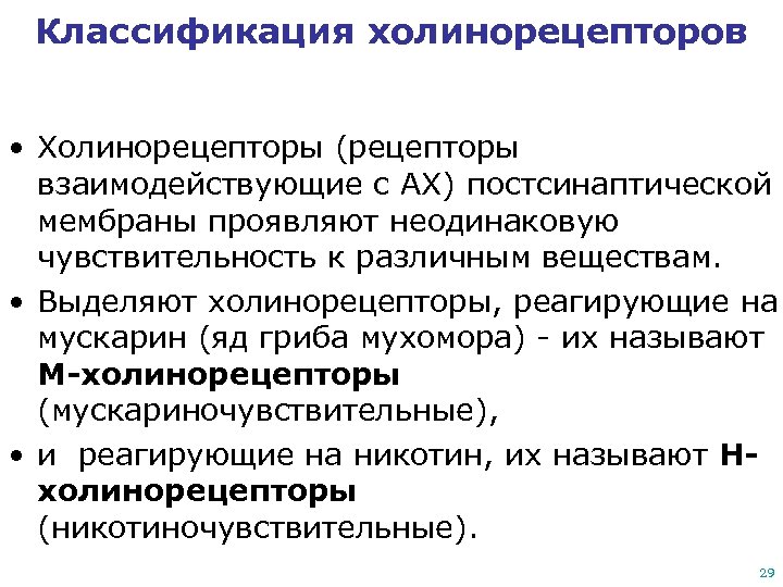 Классификация холинорецепторов • Холинорецепторы (рецепторы взаимодействующие с АХ) постсинаптической мембраны проявляют неодинаковую чувствительность к