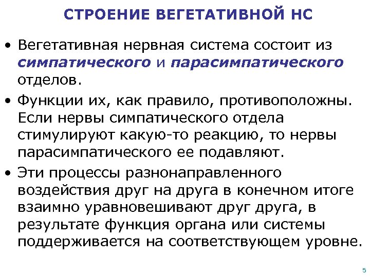 СТРОЕНИЕ ВЕГЕТАТИВНОЙ НС • Вегетативная нервная система состоит из симпатического и парасимпатического отделов. •