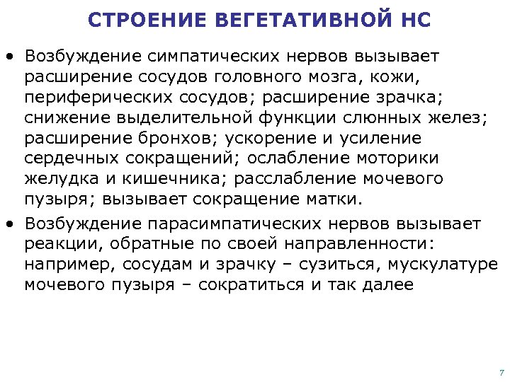 СТРОЕНИЕ ВЕГЕТАТИВНОЙ НС • Возбуждение симпатических нервов вызывает расширение сосудов головного мозга, кожи, периферических