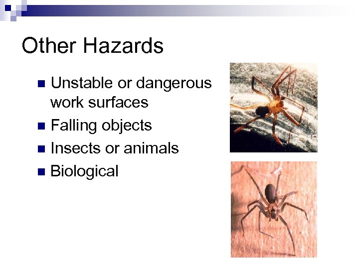 Other Hazards Unstable or dangerous work surfaces n Falling objects n Insects or animals